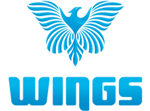 wingstherapycenter