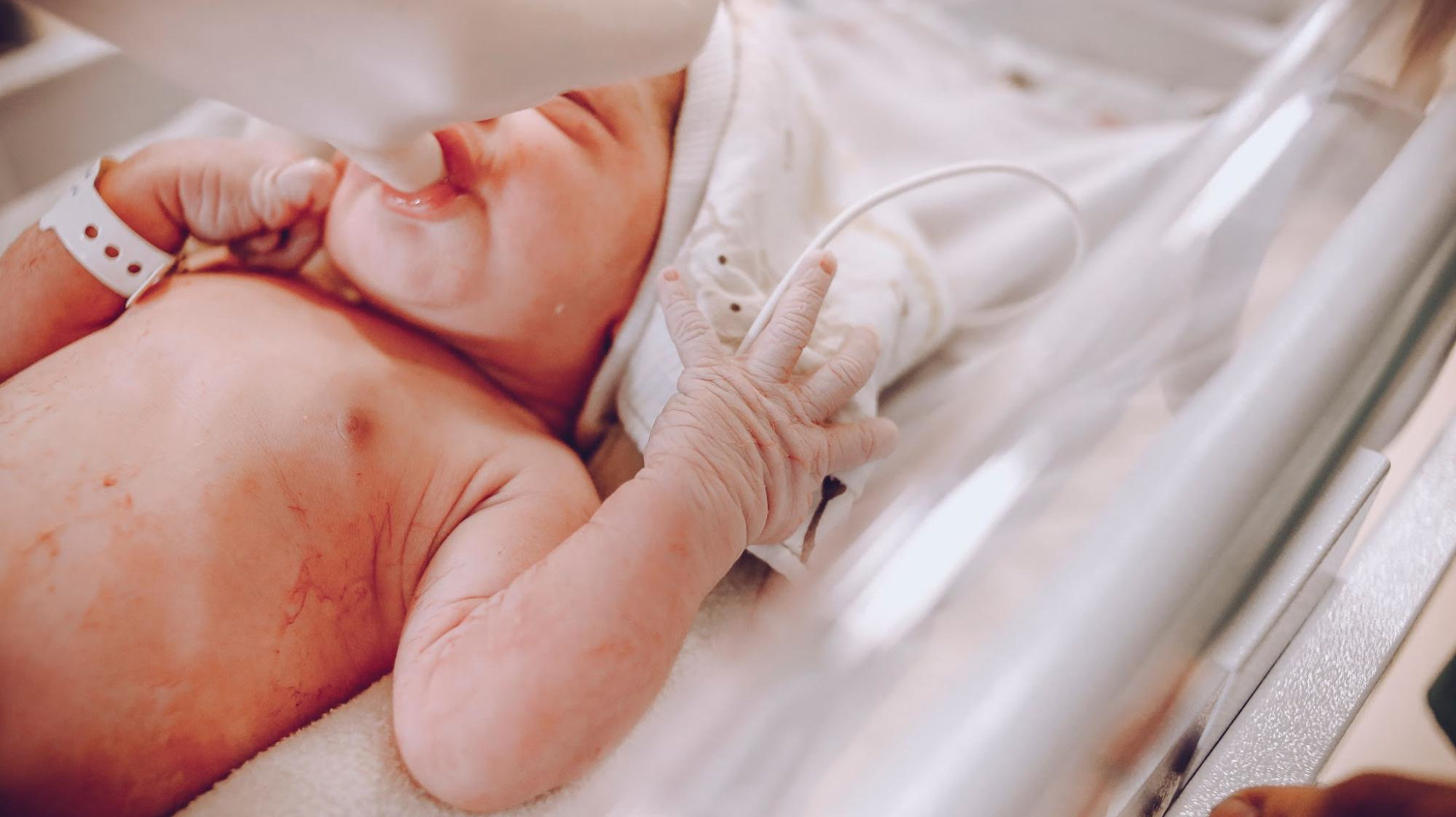 Baby Developmental Milestones by Month: What Parents Should Look For